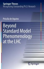 Beyond Standard Model Phenomenology at the LHC