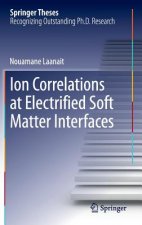 Ion Correlations at Electrified Soft Matter Interfaces