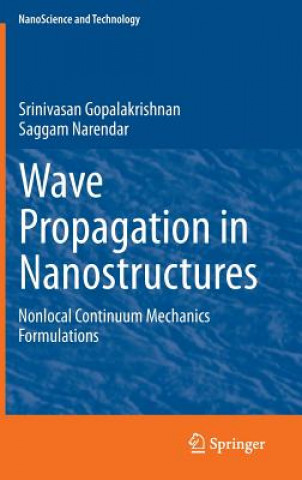 Wave Propagation in Nanostructures