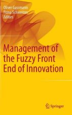 Management of the Fuzzy Front End of Innovation