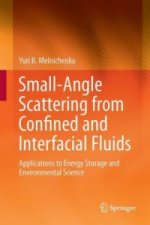 Small-Angle Scattering from Confined and Interfacial Fluids