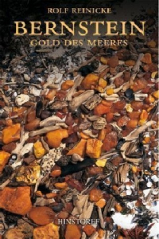 Bernstein. Gold des Meeres