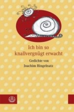 Ich bin so knallvergnügt erwacht