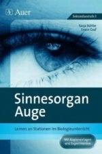 Sinnesorgan Auge