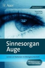 Sinnesorgan Auge