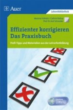 Effizienter korrigieren - Das Praxisbuch, m. 1 CD-ROM