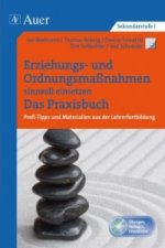 Erziehungs- und Ordnungsmaßnahmen einsetzen. Das Praxisbuch, m. 1 CD-ROM