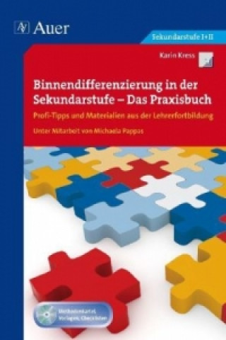 Binnendifferenzierung in der Sekundarstufe I, m. 1 CD-ROM