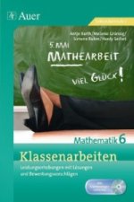 Klassenarbeiten Mathematik 6, m. 1 CD-ROM