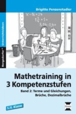 Mathetraining in 3 Kompetenzstufen - 5./6. Klasse. Bd.2