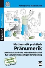 Mathematik praktisch: Pränumerik, m. 1 CD-ROM