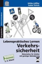 Lebenspraktisches Lernen: Verkehrssicherheit, m. 1 CD-ROM