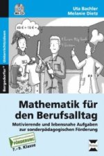 Mathematik für den Berufsalltag, m. 1 CD-ROM