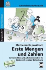 Mathematik praktisch: Erste Mengen und Zahlen, m. 1 CD-ROM