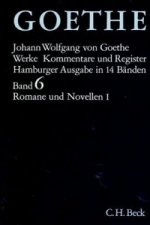 Goethe Werke Bd. 6: Romane und Novellen I. Tl.1
