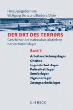 Der Ort des Terrors. Geschichte der nationalsozialistischen Konzentrationslager Bd. 9: Arbeitserziehungslager, Ghettos, Jugendschutzlager, Polizeihaft