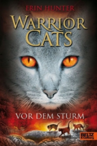Warrior Cats, Vor dem Sturm