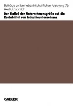 Einflu  Der Unternehmensgr  e Auf Die Rentabilit t Von Industrieunternehmen
