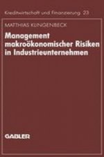 Management makrookonomischer Risiken in Industrieunternehmen