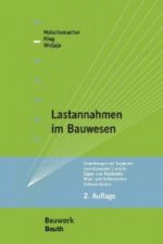 Lastannahmen im Bauwesen - Grundlagen, Erläuterungen, Praxisbeispiele