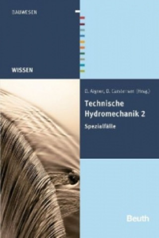 Technische Hydromechanik. Bd.2