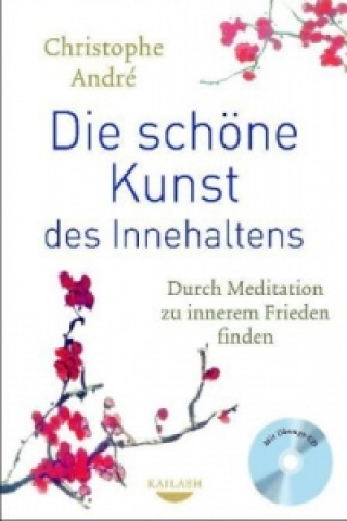 Die schöne Kunst des Innehaltens, m. 2 Audio-CDs