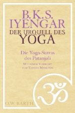 Der Urquell des Yoga