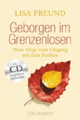 Geborgen im Grenzenlosen, m. Audio-CD