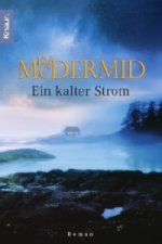 Ein kalter Strom