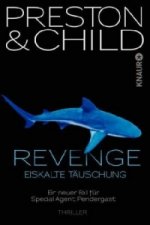 Revenge - Eiskalte Täuschung