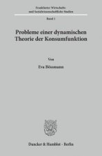 Probleme einer dynamischen Theorie der Konsumfunktion.