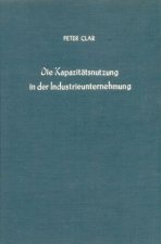 Die Kapazitätsnutzung in der Industrieunternehmung.