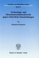Verfassungs- und Menschenrechtsbeschwerde gegen richterliche Entscheidungen.