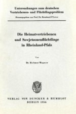 Untersuchungen zum deutschen Vertriebenen- und Flüchtlingsproblem.