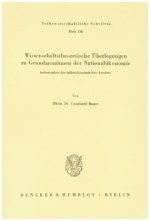 Wissenschaftstheoretische Überlegungen zu Grundannahmen der Nationalökonomie, insbesondere des mikroökonomischen Ansatzes.
