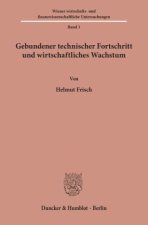 Gebundener technischer Fortschritt und wirtschaftliches Wachstum.