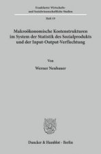 Makroökonomische Kostenstrukturen im System der Statistik des Sozialprodukts und der Input-Output-Verflechtung.