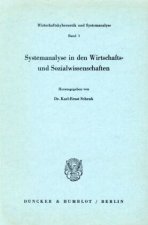 Systemanalyse in den Wirtschafts- und Sozialwissenschaften.