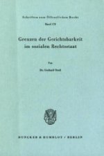 Grenzen der Gerichtsbarkeit im sozialen Rechtsstaat.