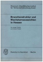 Branchenstruktur und Wachstumsaussichten in Hessen.