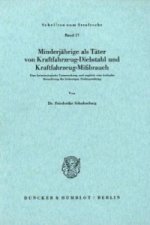 Minderjährige als Täter von Kraftfahrzeug-Diebstahl und Kraftfahrzeug-Mißbrauch.
