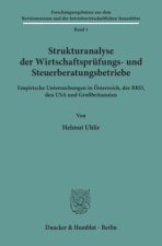 Strukturanalyse der Wirtschaftsprüfungs- und Steuerberatungsbetriebe.