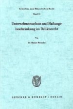 Unternehmensschutz und Haftungsbeschränkung im Deliktsrecht.