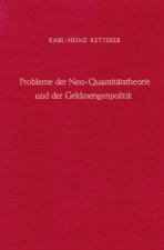 Probleme der Neo-Quantitätstheorie und der Geldmengenpolitik.