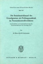 Die Sozialstaatsklausel des Grundgesetzes als Prüfungsmaßstab im Normenkontrollverfahren.