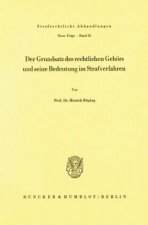 Der Grundsatz des rechtlichen Gehörs und seine Bedeutung im Strafverfahren.