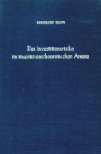 Das Investitionsrisiko im investitionstheoretischen Ansatz.