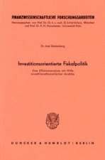 Investitionsorientierte Fiskalpolitik.