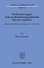 Rechtsschutz gegen nicht zur Rechtsetzung gehörende Akte der Legislative.