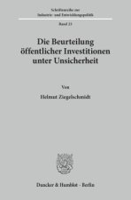 Die Beurteilung öffentlicher Investitionen unter Unsicherheit.